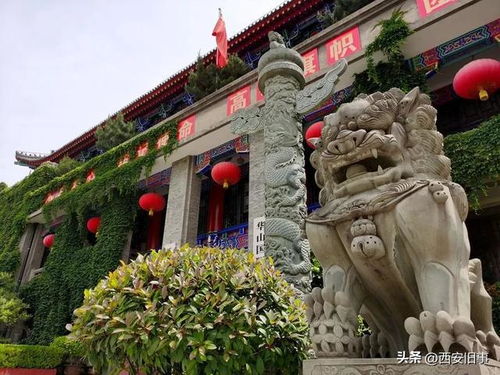 刘俊奇与贞奇文化 北大街上的古都文化底蕴