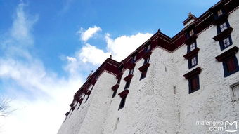 小猫的朝圣奇遇 一场在布达拉与贞奇文化中的深度洗礼